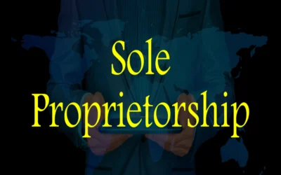 Define sole proprietorship in modern business