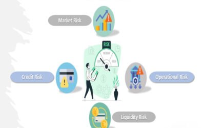 Explain financial risk in owning a sole business