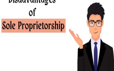 Describe the disadvantages in sole proprietorship detail