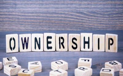  Briefly list pros and cons of sole ownership