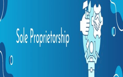 Define why some prefer sole proprietorship
