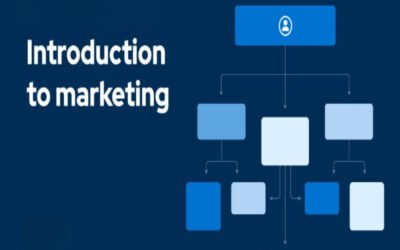 Introduction to marketing in sole businesses