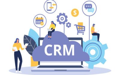 Briefly explain using CRM for solo owners