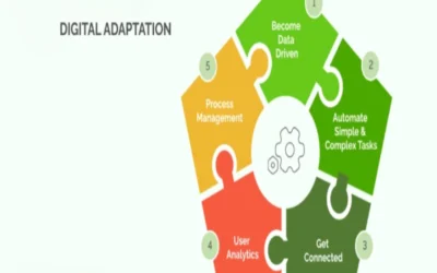 Define digital adaptation in sole proprietorship