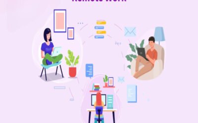 Explain remote work in sole ownership