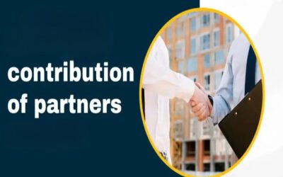 Describe partner contribution in kind