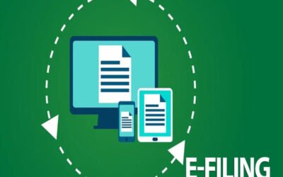  Briefly explain e-filing partnership firm returns