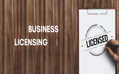 National Portal Lists Verified Sole Business Licenses