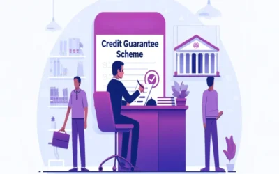 Government Launches Credit Guarantee for Sole Traders