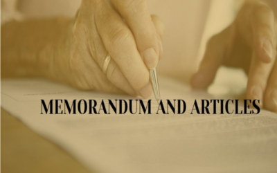 Define the memorandum and articles for OPC incorporation
