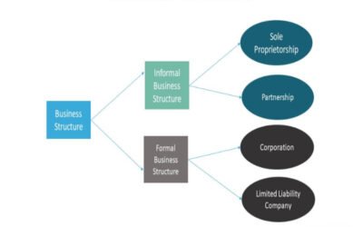 Establish the significance of a single-owner business structure