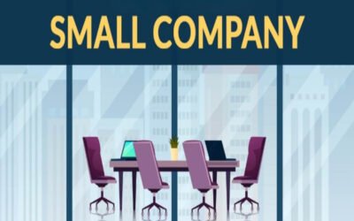 Define the term small company and its link with OPC
