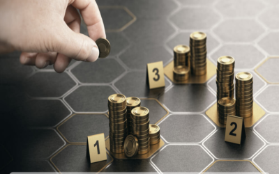 Define authorized and paid-up capital norms in OPC