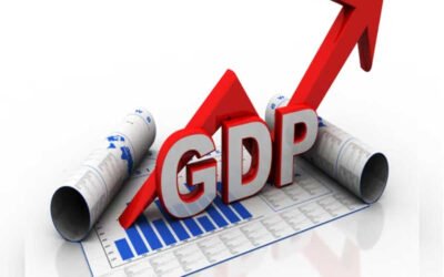  Describe how OPCs contribute to GDP growth