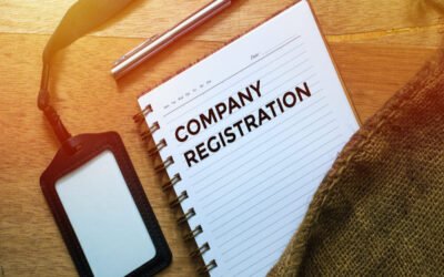  Define the structure of the company registration number