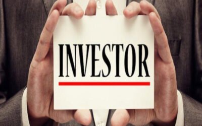 Establish why OPC attracts small investors