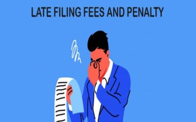 Detail late fees and penalties for OPC filings