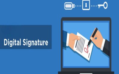 Explain the use of a digital signature for directors