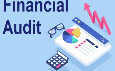 Detail how OPCs handle financial auditing
