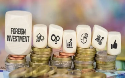 Foreign Investment Allowed in Indian OPCs
