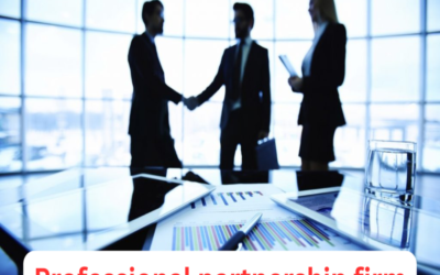 What is a professional partnership firm?