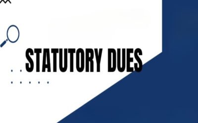 What are the statutory dues for partnership firms?