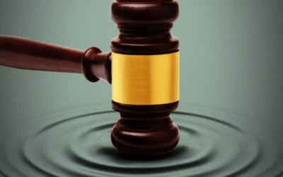 Establish court rulings relevant to LLP formation.