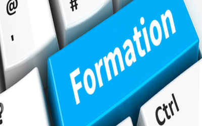 Describe the formation of LLP by professionals.