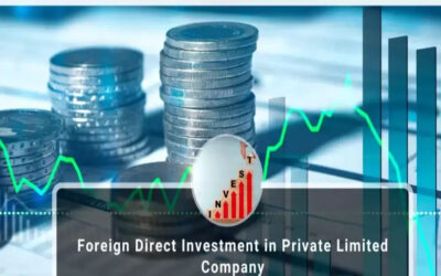Establish the effect of foreign direct investment in private limited companies.