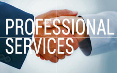 Introduction to LLP in professional services industry.