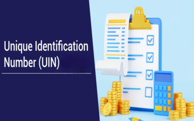 Describe the meaning and implication of UIN in LLP.