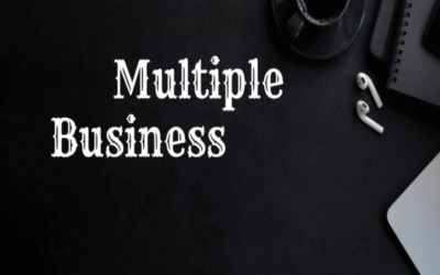 Can a private limited company have multiple business activities?