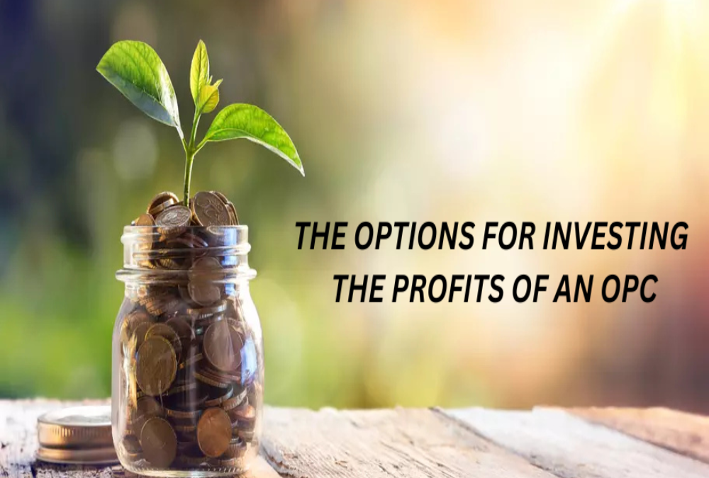 What are the options for investing the profits of an OPC?