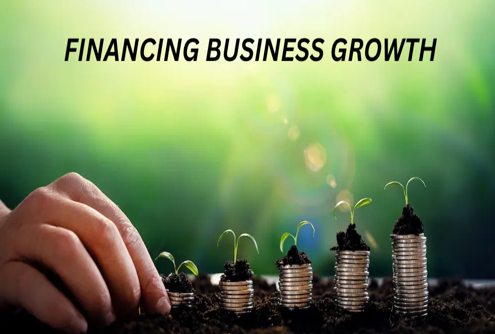 What are the options for financing business growth?