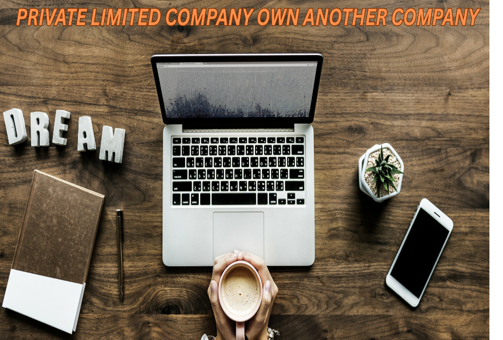 Can a private limited company own another company?