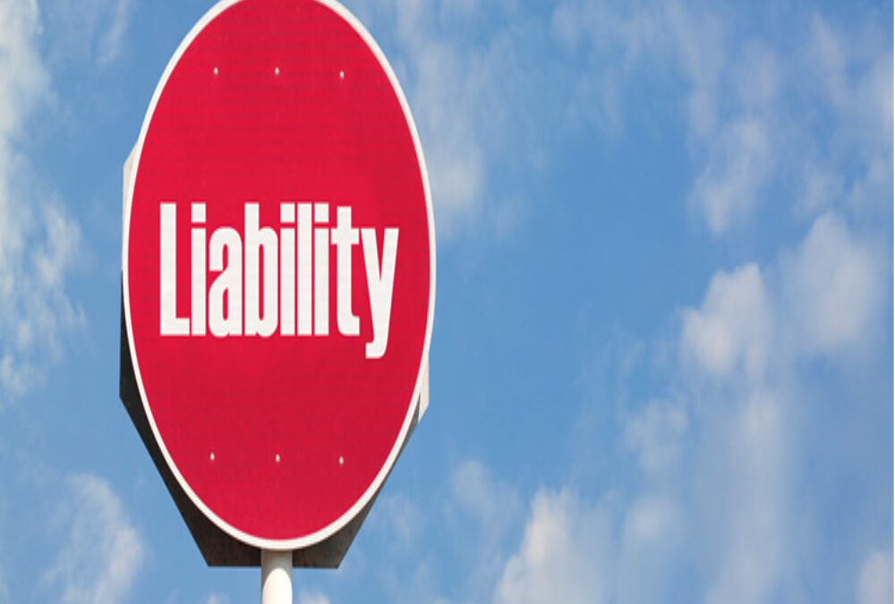 What is the liability of shareholders in a private limited company?