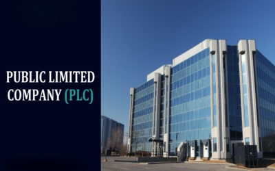Explain what a Public Limited Company is under Indian law.