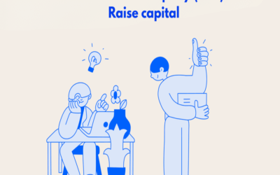 Describe how a Public Limited Company raises capital.