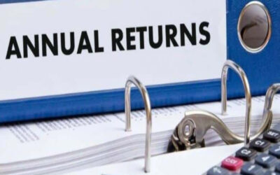 Detailed Filing Procedures for Annual Returns of Section 8