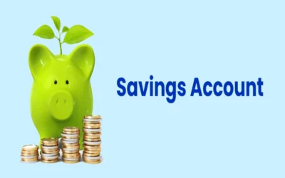 Describe how savings accounts work in a Nidhi Company.