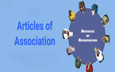 Describe the function of Articles of Association in a Public Limited Company.