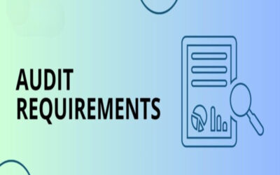 Explain Audit Requirements for Section 8 Companies