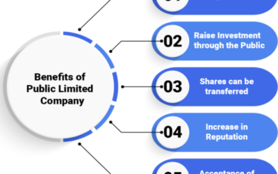 Detail the benefits of a Public Limited Company structure for raising funds.