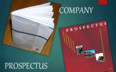 Define what a prospectus is in relation to Public Limited Companies.