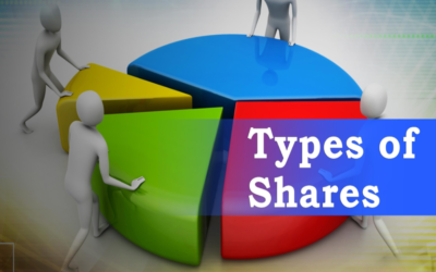 Explain the types of shares a Public Limited Company can issue.