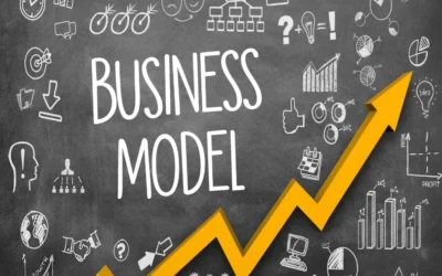 Briefly highlight the business model of Nidhi Companies.