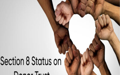 Define the Impact of Section 8 Status on Donor Trust
