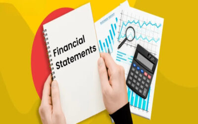 Detailed Format of Financial Statements for Section 8