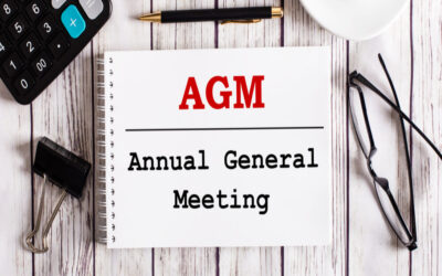 Define the importance of AGMs for Public Limited Companies.