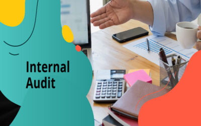 Describe the internal audit mechanism in a Public Limited Company.